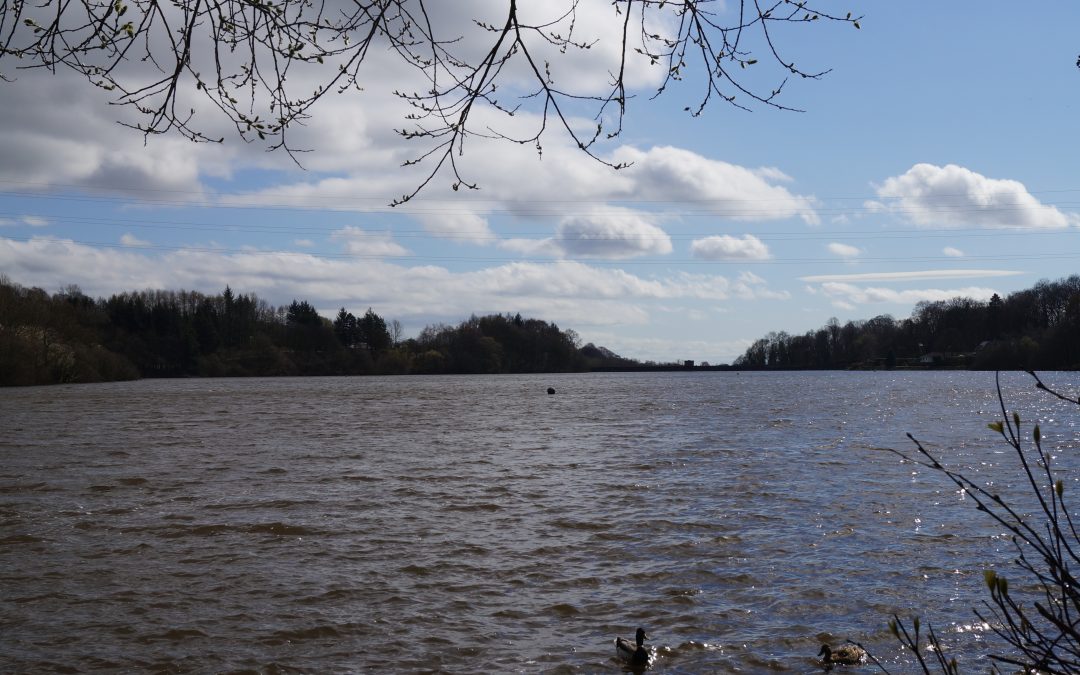 Fishing Recommenced – Jumbles