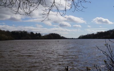 Fishing Recommenced – Jumbles