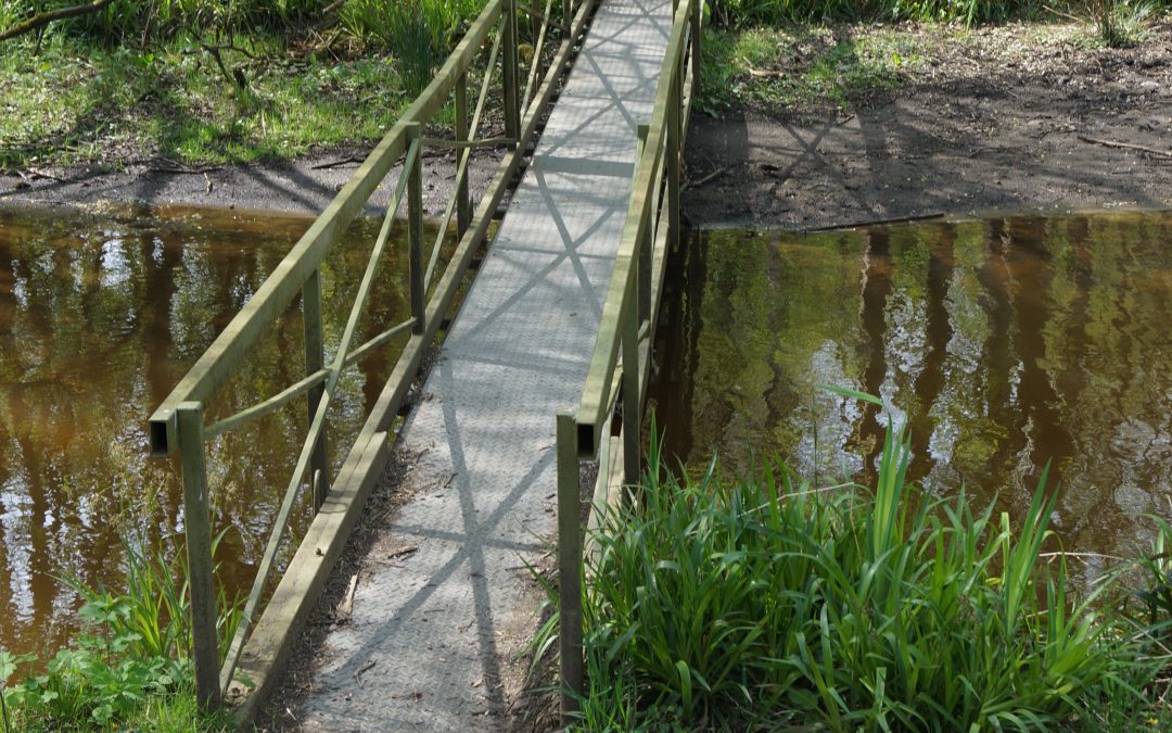 Club Memberships 2026/27 season