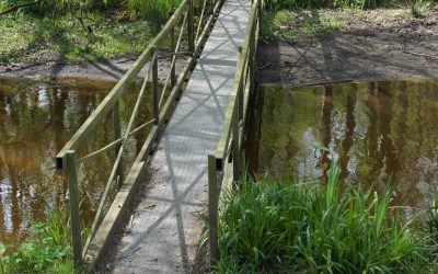 Club Memberships 2026/27 season