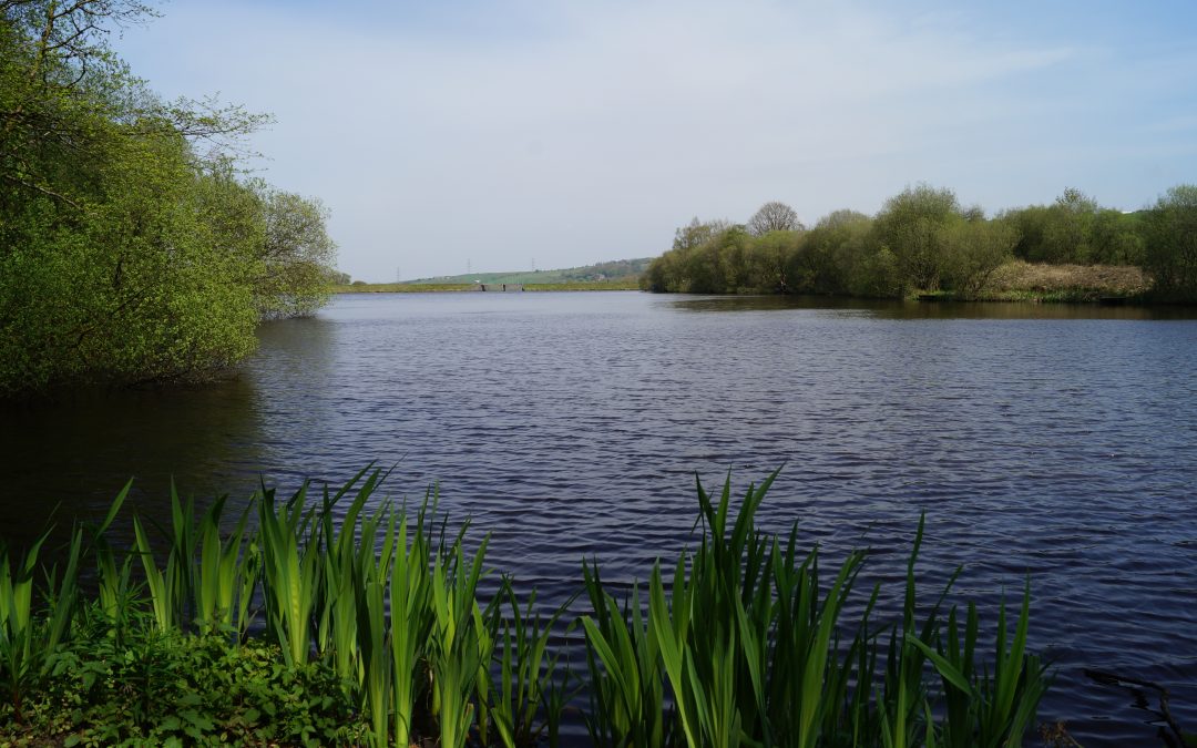 Thursday Matches – Now suspended