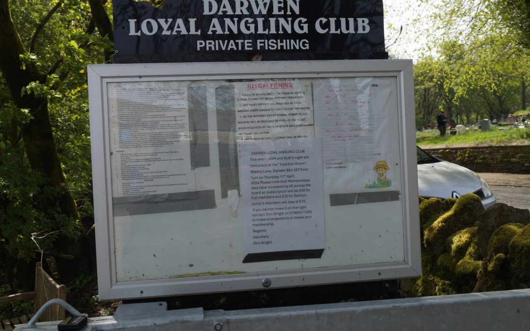 AGM – 12 November 2026