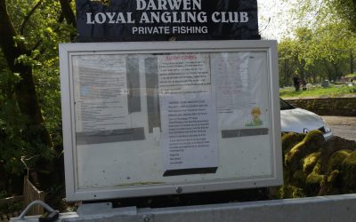 AGM – 12 November 2026